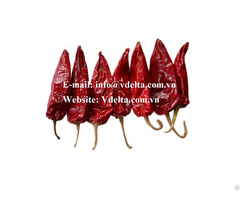Vietnam Dried Red Chili