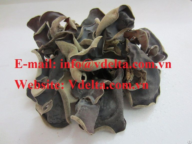 Dried Black Fungus Mushroom