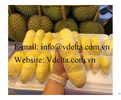 High Quality Frozen Durian