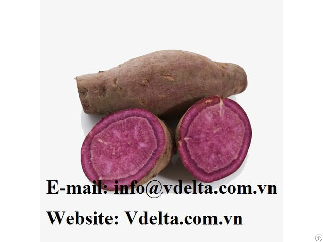 The Highest Quality Sweet Potatoes Vietnam