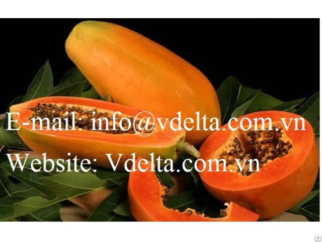 Vietnam Fresh Red Papaya