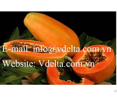 Vietnam Fresh Red Papaya