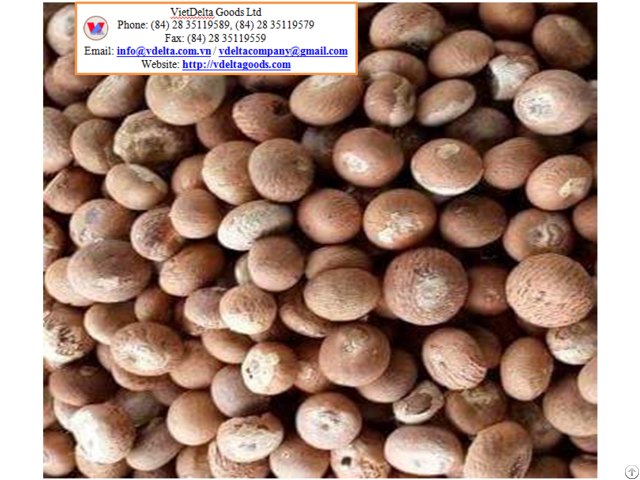 Top Quality Dried Betel Nut