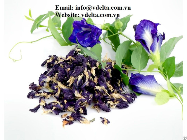 Dried Butterfly Pea Flowers