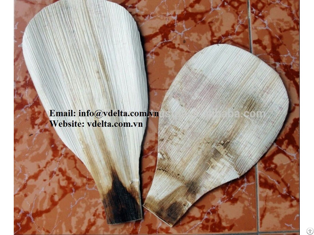 Areca Spathe Fan Vn