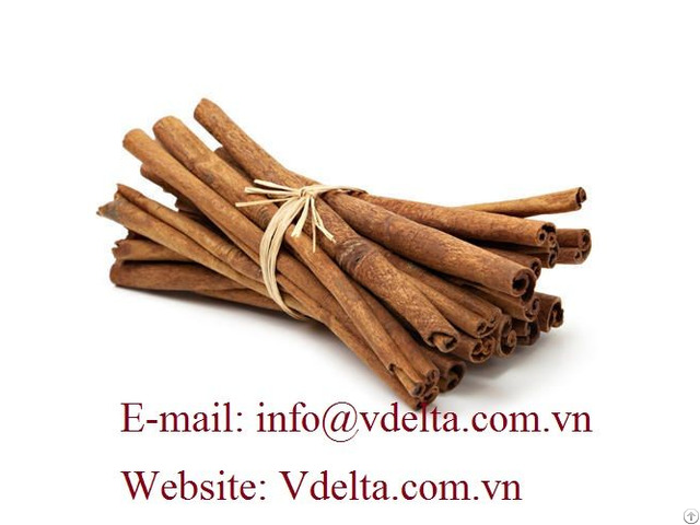 Cinnamon Stick Vietnam