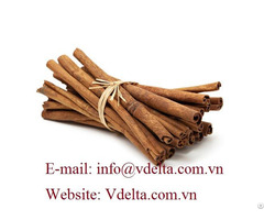 Cinnamon Stick Vietnam