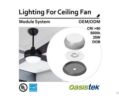 Lighting For Ceiling Fan Module System Oem Odm