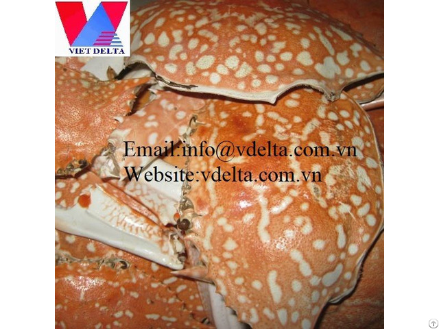 High Quality Crab Shell Vdelta