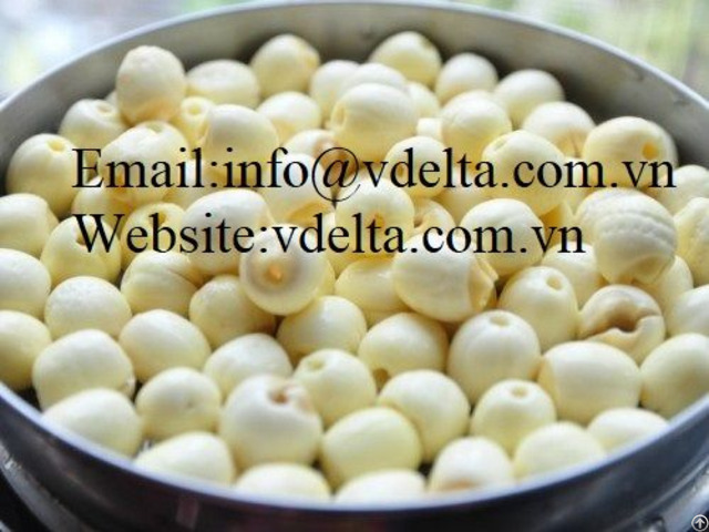 High Quality Lotus Nut Viet Nam