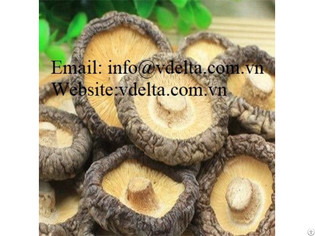 High Quality Dried Mushroom Vdelta