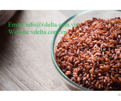 High Quality Brown Rice Vdelta