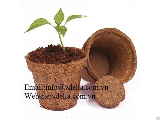 High Quality Coir Pots Vdelta