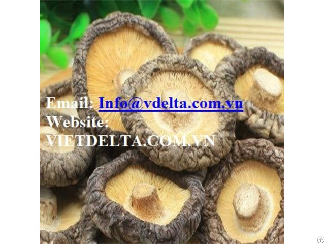 Dried Shiitake Mushroom Fromvietnam