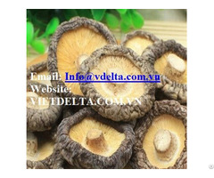 Dried Shiitake Mushroom Fromvietnam