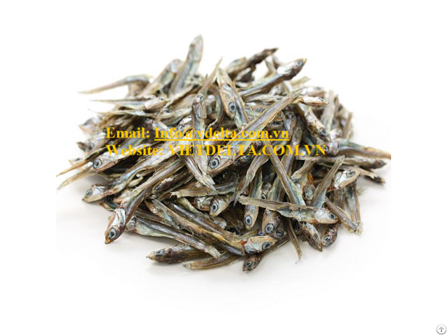 Dried Anchovy From Vietnam