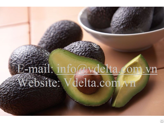 High Quality Hass Avocado From Viet Nam