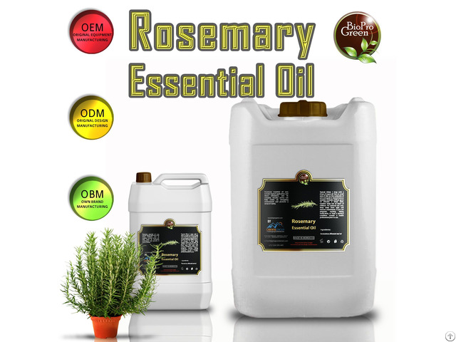 The Rosemary Oil