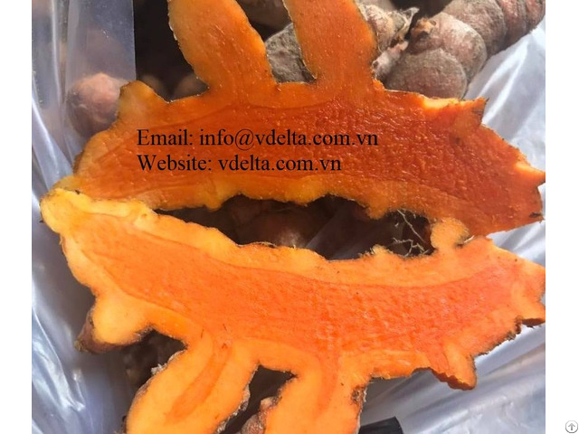 Fresh Turmeric High Quality From Viet Nam