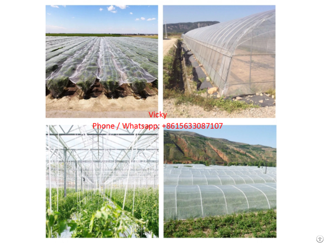 Anti Insect Netting For Greenhouse