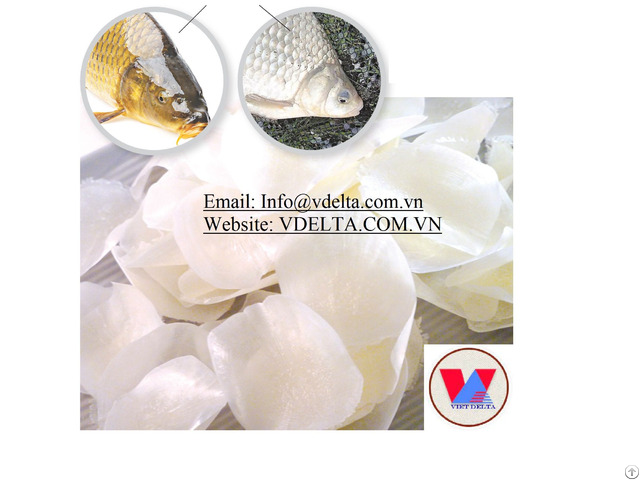 High Quanlity Dried Fish Scales