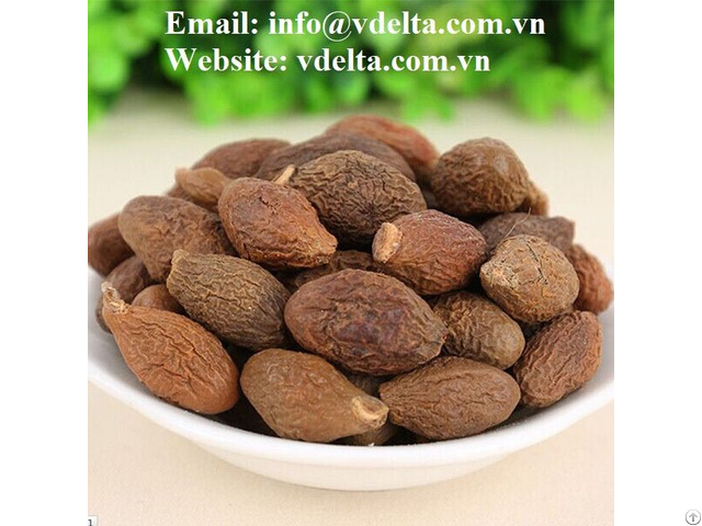 High Quality Malva Nuts From Viet Nam