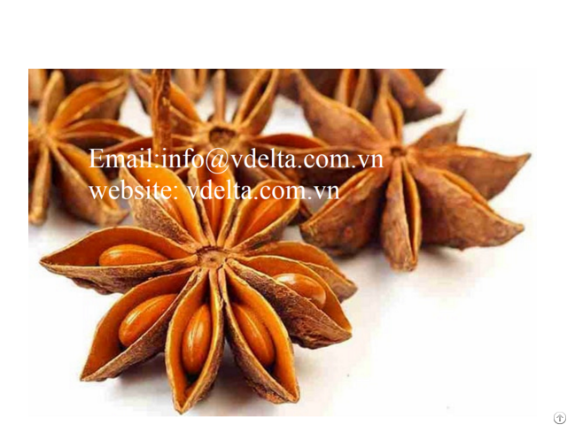 Broken Star Anise