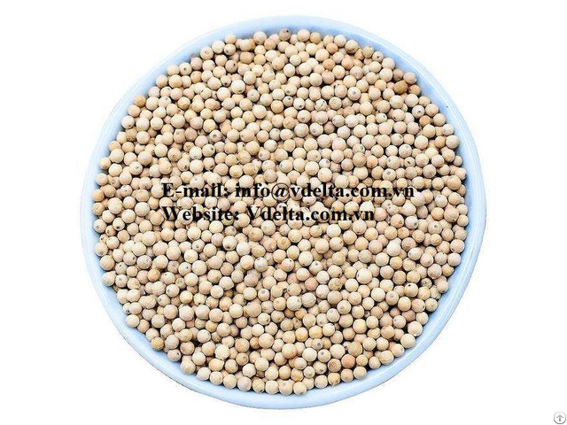 White Pepper From Vietnam