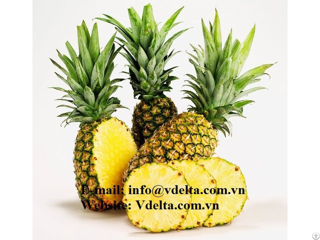 Pineapple Fresh From Viet Nam