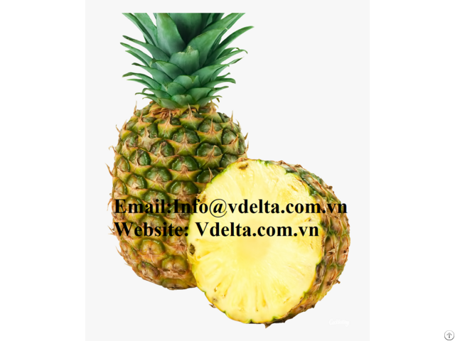 Fresh Pineapple From Vietnam