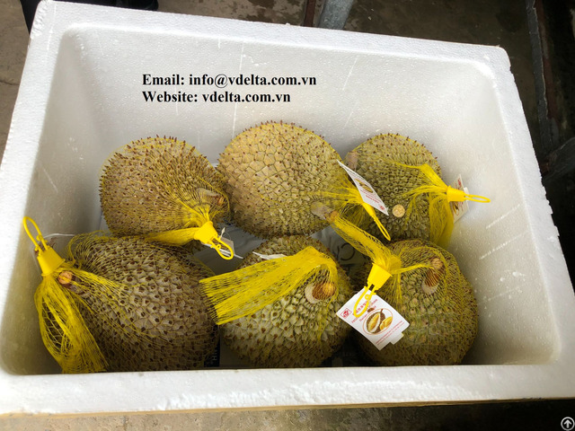 High Quality Frozen Durian Vn