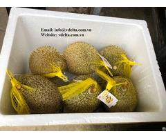 High Quality Frozen Durian Vn