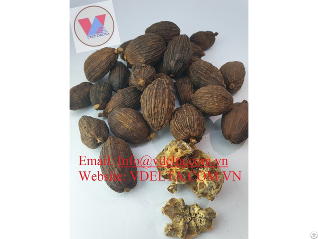 Black Cardamom High Quality From Viet Nam