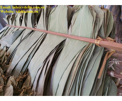 New Product Dried Bamboo Leaves