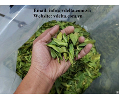 Product 100 Percent Natural Dried Lemon Leaves