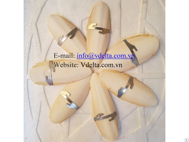 Cuttlefish Bone From Viet Nam