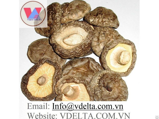 Dried Shiitake Mushroom From Vietnam