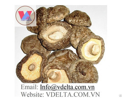 Dried Shiitake Mushroom From Vietnam