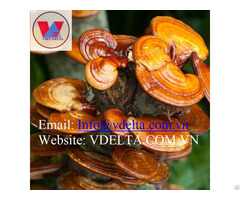 Natural Red Reishi Mushroom