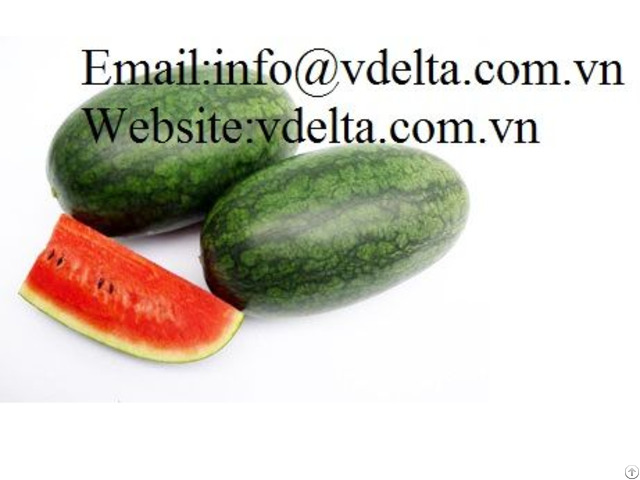 High Quality Watermelon Vdelta