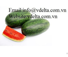 High Quality Watermelon Vdelta
