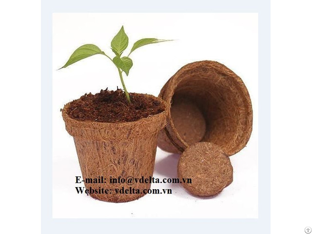 Coconut Coir Pot With Competitive Price