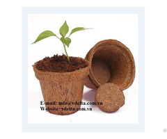 Coconut Coir Pot With Competitive Price