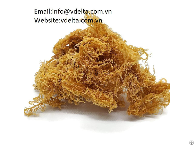 High Quality Seaweed Vdelta