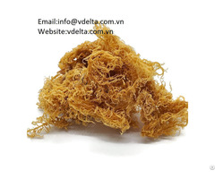 High Quality Seaweed Vdelta