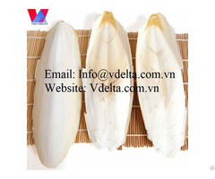 Fish Bone From Vietnam
