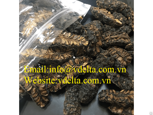 High Quality Dried Noni