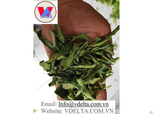 Best Price Dried Lemon Leaf