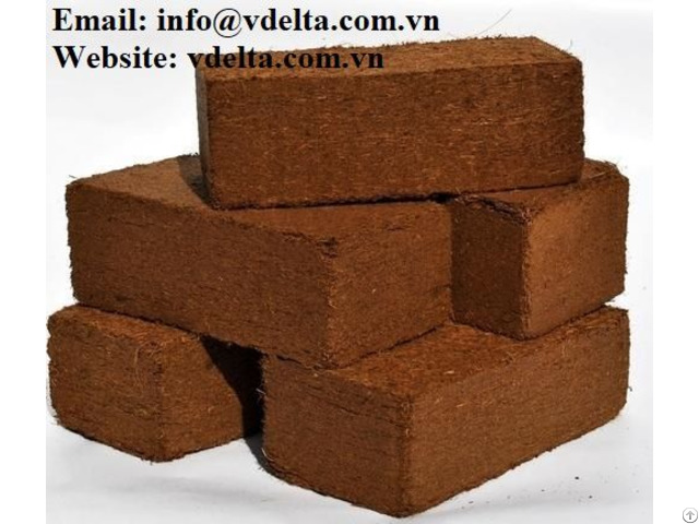 Coco Peat Brick Vn