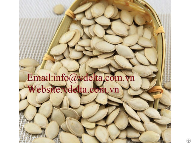 High Quality Pumpkin Seeds Vdelta